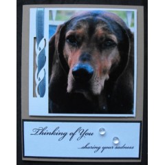 Dog Sympathy Cards - Abby